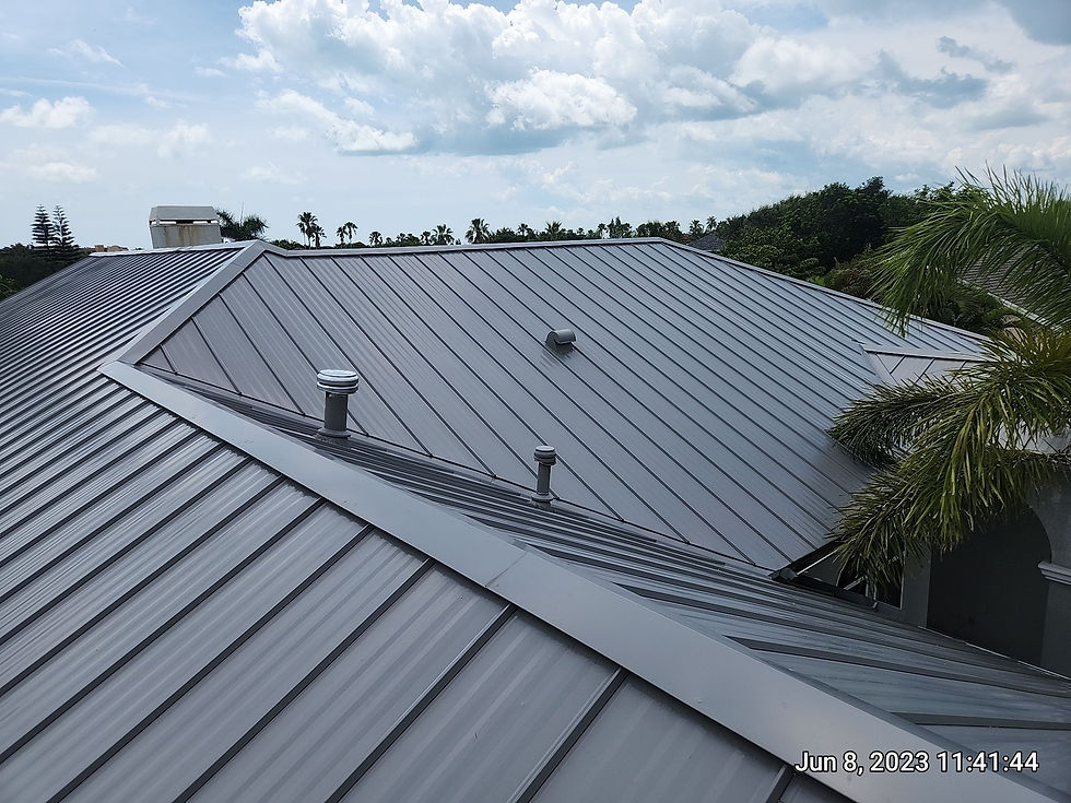 Metal roof and palm trees, from JMak’s project photography