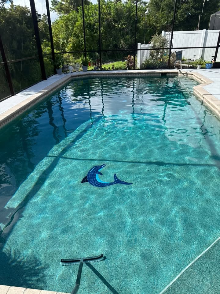 Screened pool with clear water and a dolphin tile design